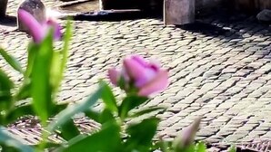 Utvendig detalj