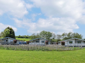 Exterior - Birch Lodge - UK30006 (Mascalles, near Ulverston)