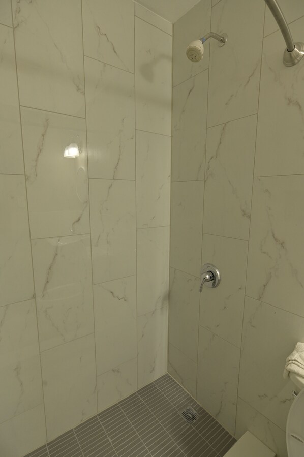 Combined shower/tub, free toiletries, hair dryer, towels