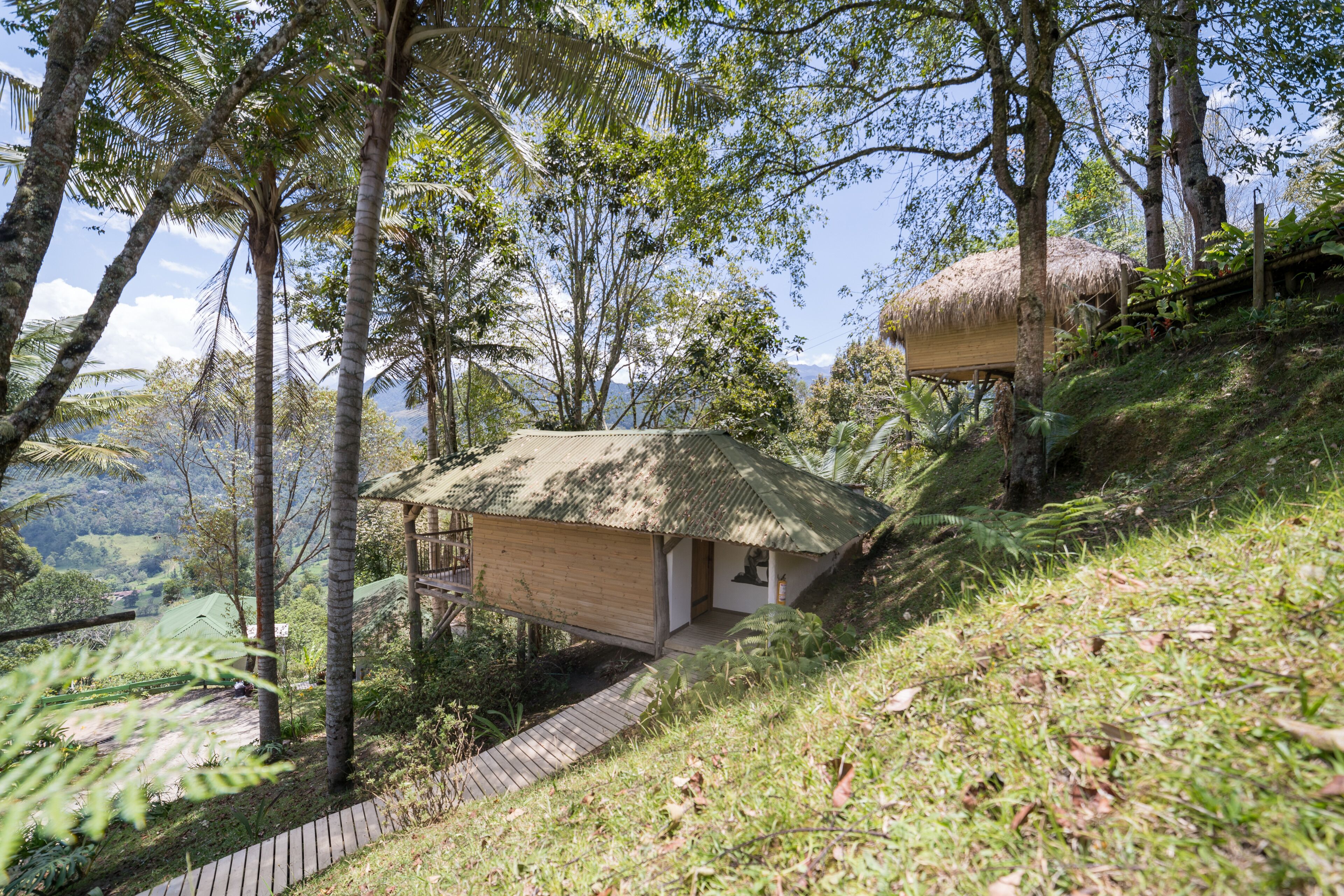 A thatched-roof hut with a wooden deck, surrounded by lush greenery and trees.