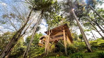 Habitación Deluxe, vista a la montaña | Ropa de cama hipoalergénica, wifi gratis y ropa de cama