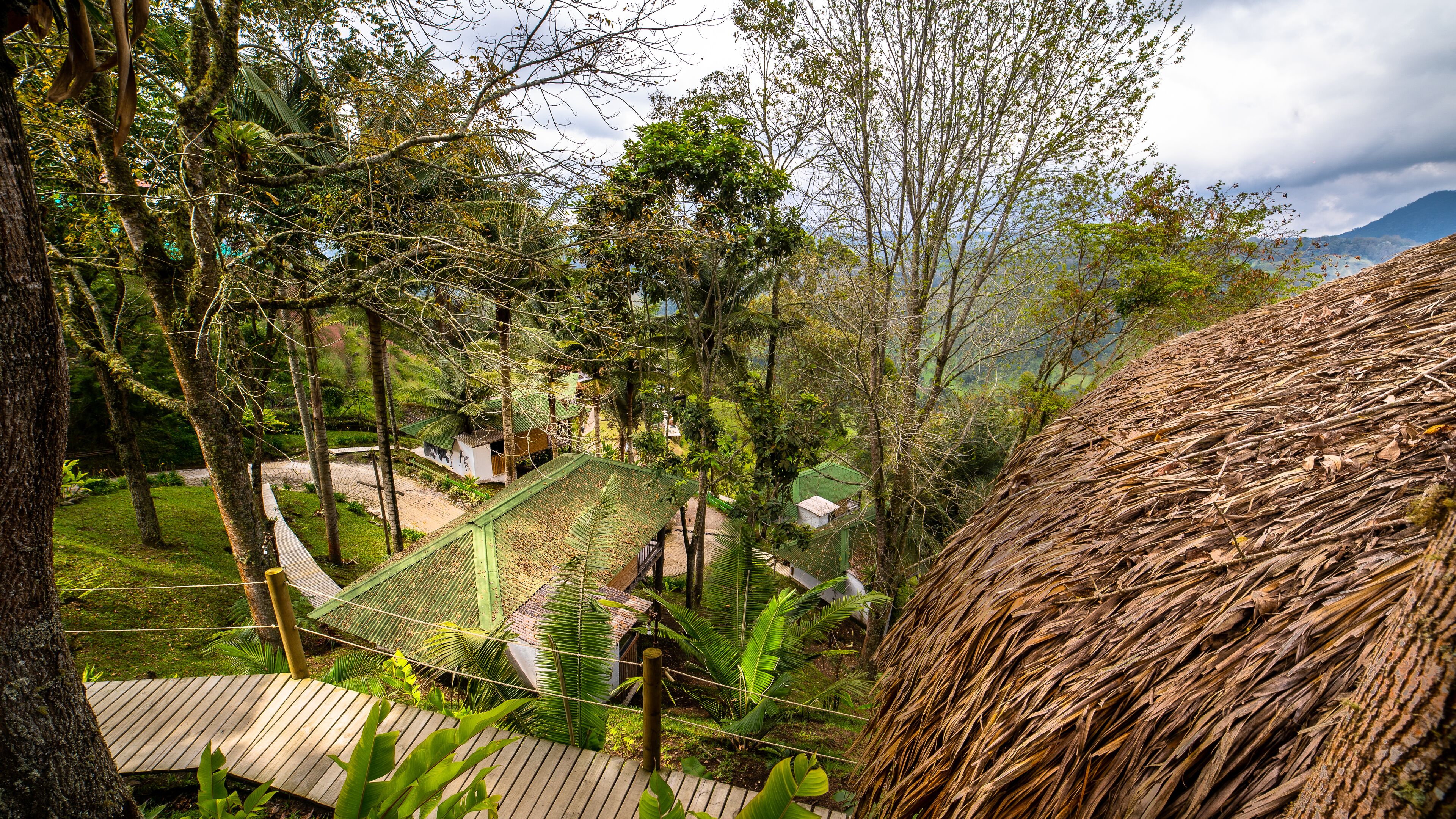 Un exuberante jardín con una terraza de madera, rodeado de follaje denso y una estructura de techo de paja.