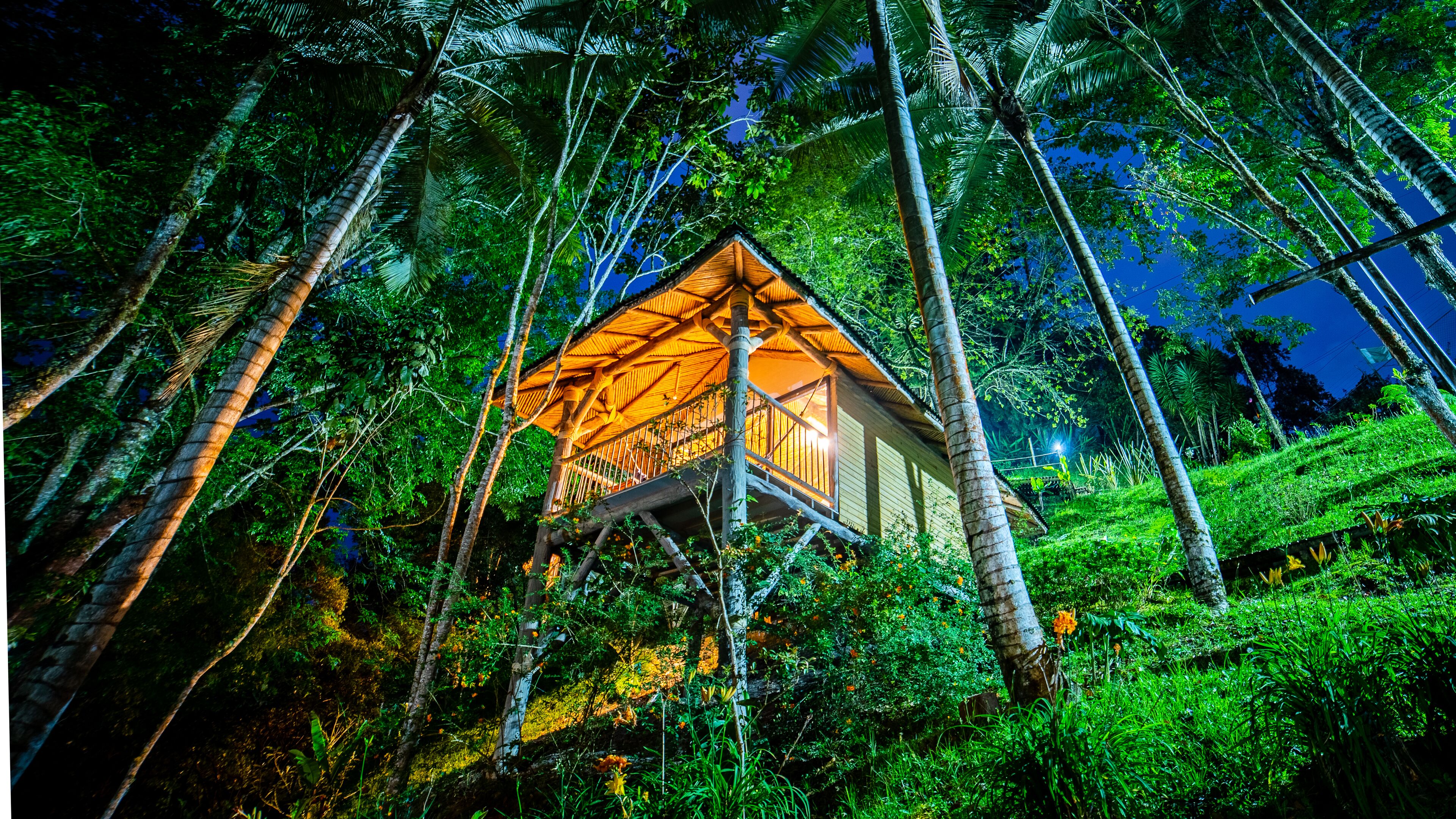 Deluxe Room, Mountain View | Hypo-allergenic bedding, free WiFi, bed sheets