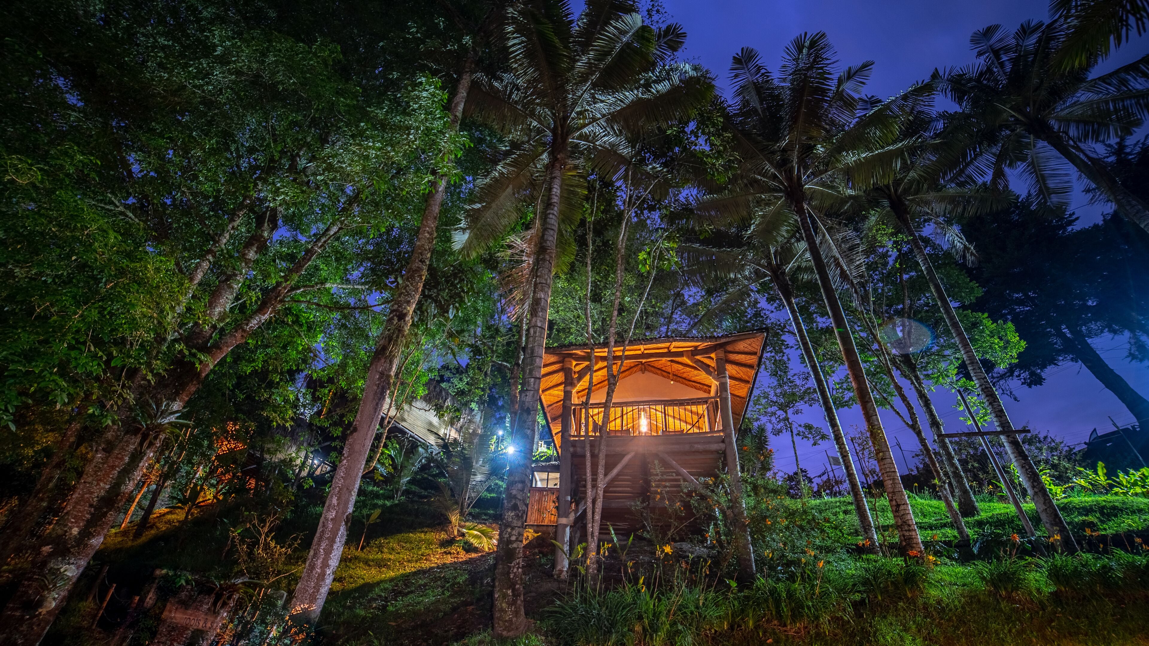 A wooden cabin surrounded by dense tropical foliage, with a clear view of the night sky.