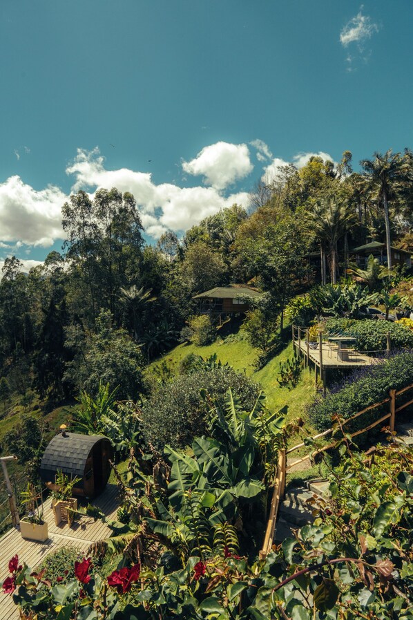 A lush garden with a wooden deck, a small house, and a variety of plants and trees.