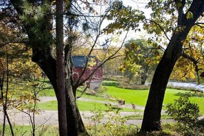 A rural landscape with a red barn, trees, and a grassy field. - Private cabin w/jacuzzi tub, gas fireplace close to several famous parks (Reedsburg)