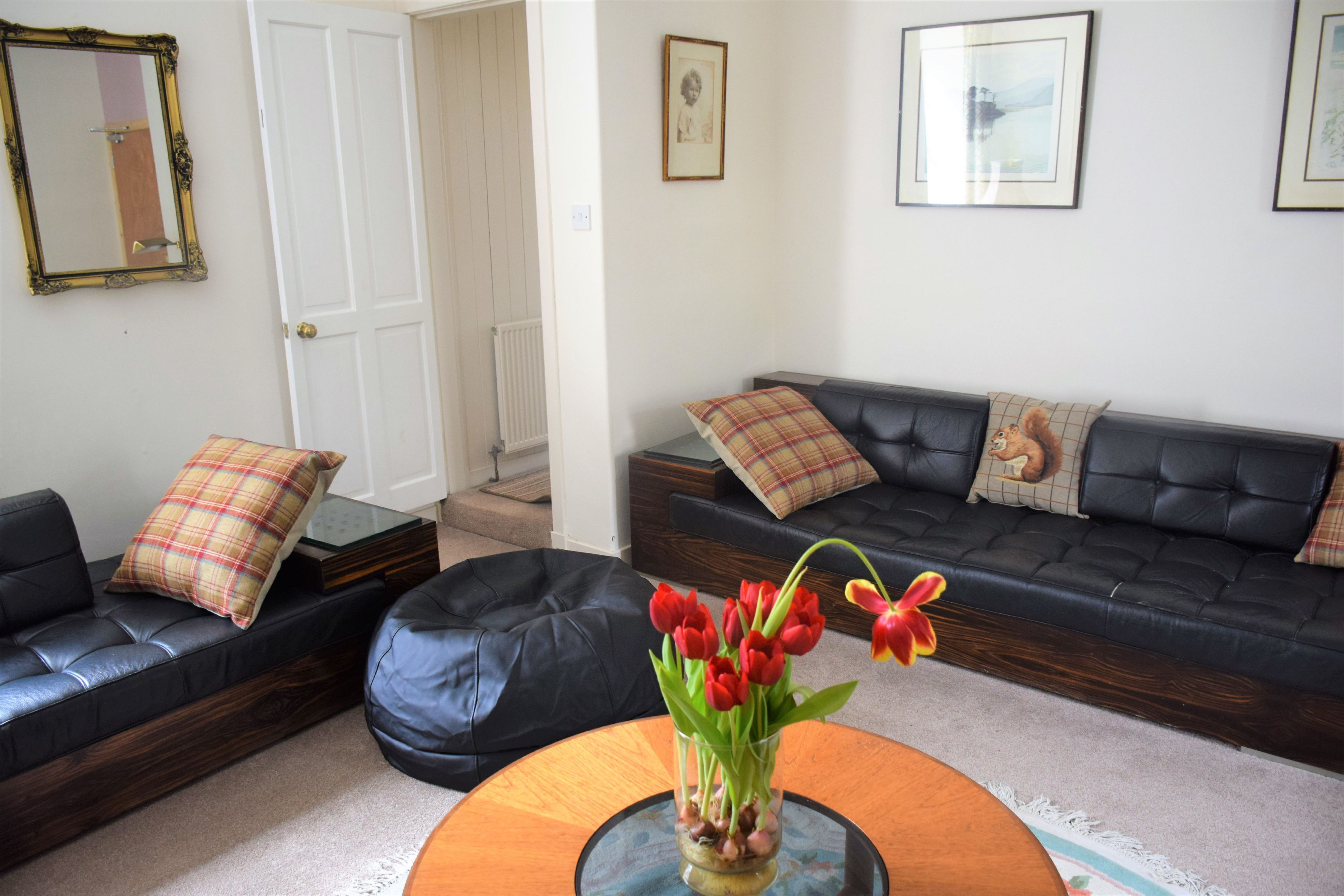 TV, fireplace, DVD player
