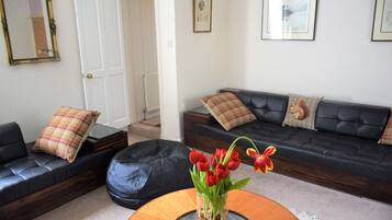 TV, fireplace, DVD player