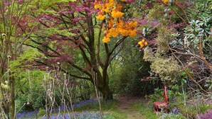 Un sendero en un jardín rodeado de plantas y árboles.