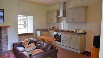 TV, fireplace, DVD player