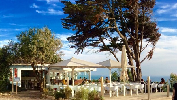 Un área de comedor al aire libre con mesas y sillas, un árbol grande y un edificio con fachada de vidrio.