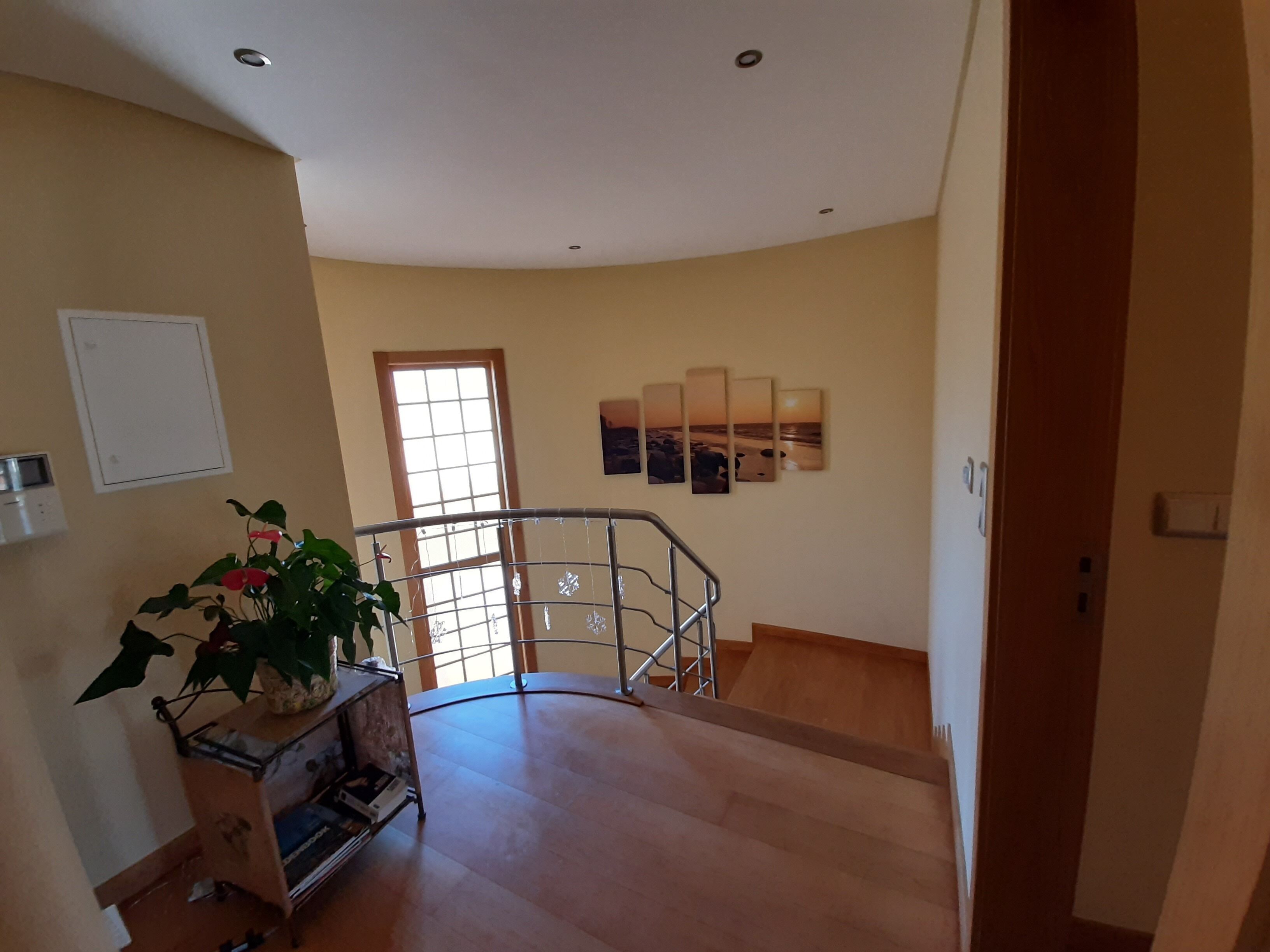 A spacious hallway with a curved staircase, a potted plant, and a wall-mounted light switch.