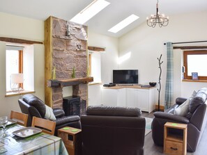 TV, fireplace, DVD player