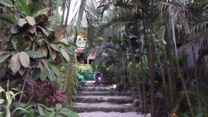 Property entrance - La Tropicale (Puerto Carrillo)