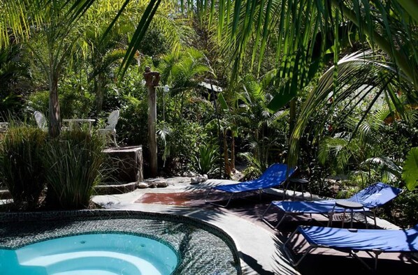 Outdoor pool - La Tropicale (Puerto Carrillo)