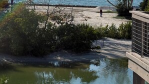 En vy över en strand med klar himmel, en sandstrand och en person som promenerar.