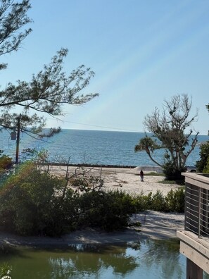 Playa en los alrededores, camastros y toallas de playa 