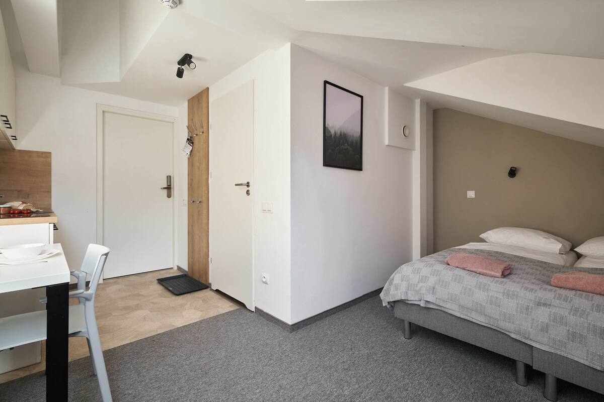 Studio | 1 bedroom, desk, blackout drapes, free WiFi