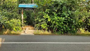 Entrada a una casa de huéspedes con un cartel, rodeada de abundante follaje.