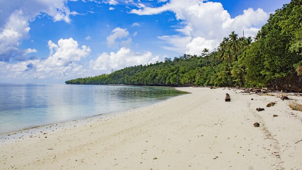 Una playa con aguas azules cristalinas, arena blanca y una colina cubierta de bosque.