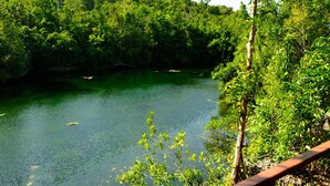 Un lago tranquilo rodeado de un bosque frondoso.