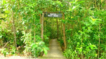 Jardin
