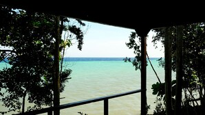 Vista a través de una ventana con barandilla, sobre un cuerpo de agua y árboles.