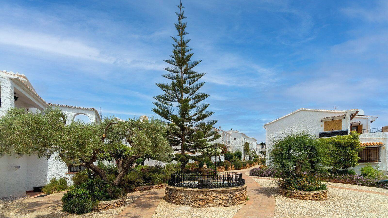 A courtyard with white buildings, a central tree, and a stone pathway.