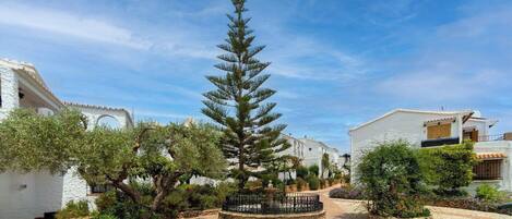 A courtyard with white buildings, a central tree, and a stone pathway.