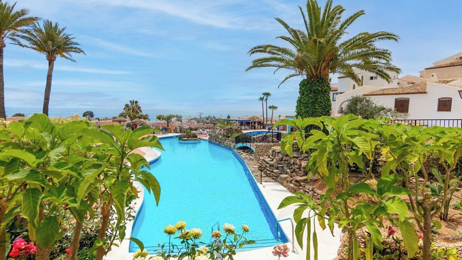 A swimming pool with a curved design, surrounded by palm trees and a stone wall.