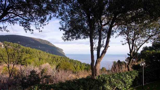A view of a mountainous landscape with trees and a clear sky. - S099 - Sirolo, new two-room apartment with wonderful sea view (Sirolo)
