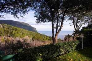 A view of a mountainous landscape with trees and a clear sky. - S099 - Sirolo, new two-room apartment with wonderful sea view (Sirolo)