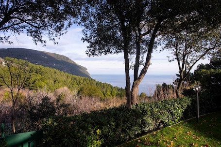 Property grounds. S099 - Sirolo, new two-room apartment with wonderful sea view