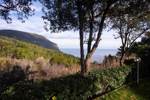Property grounds - S099 - Sirolo, new two-room apartment with wonderful sea view (Sirolo)