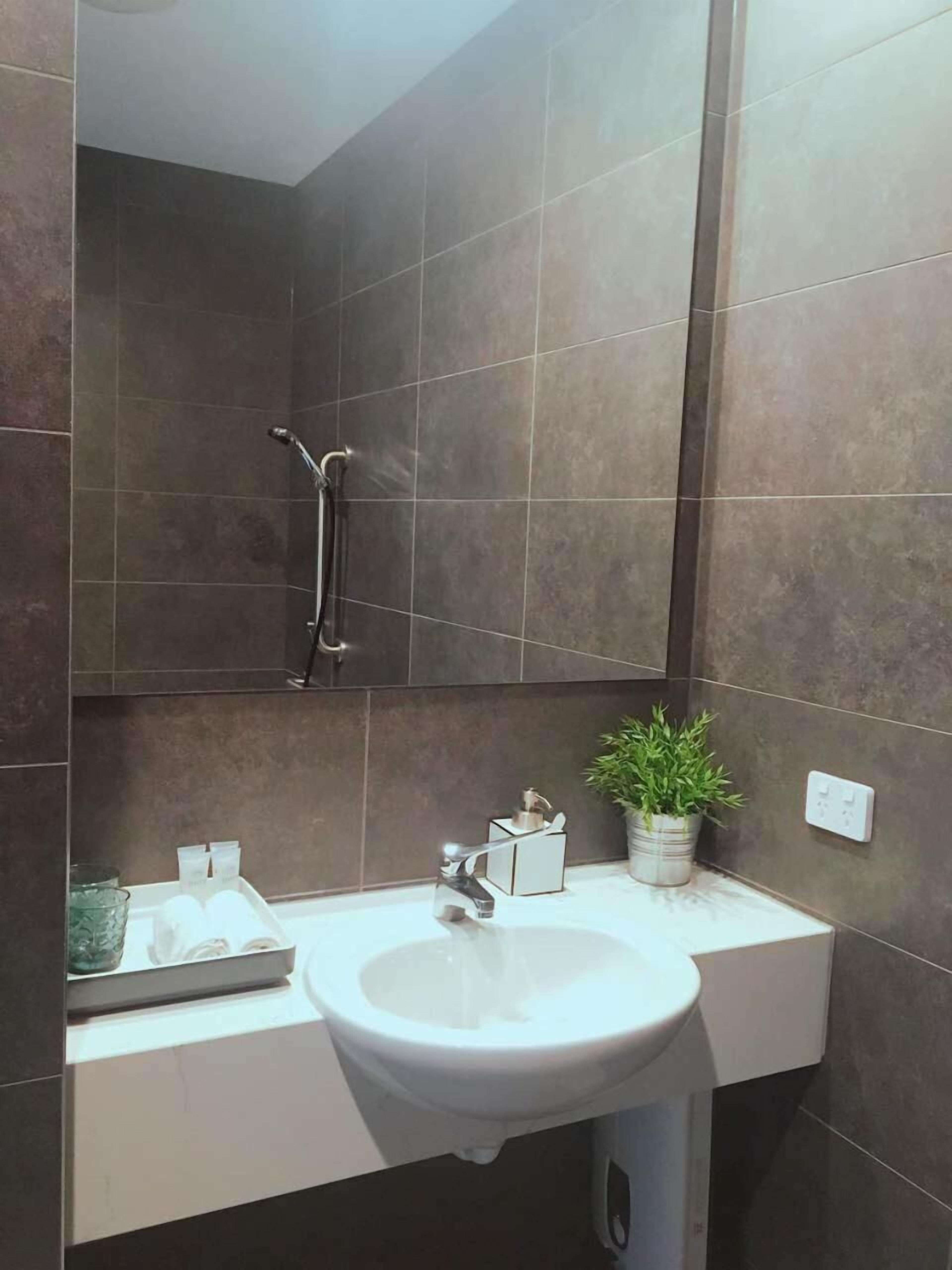 A bathroom with a white sink, a handheld showerhead, and a potted plant on the counter.