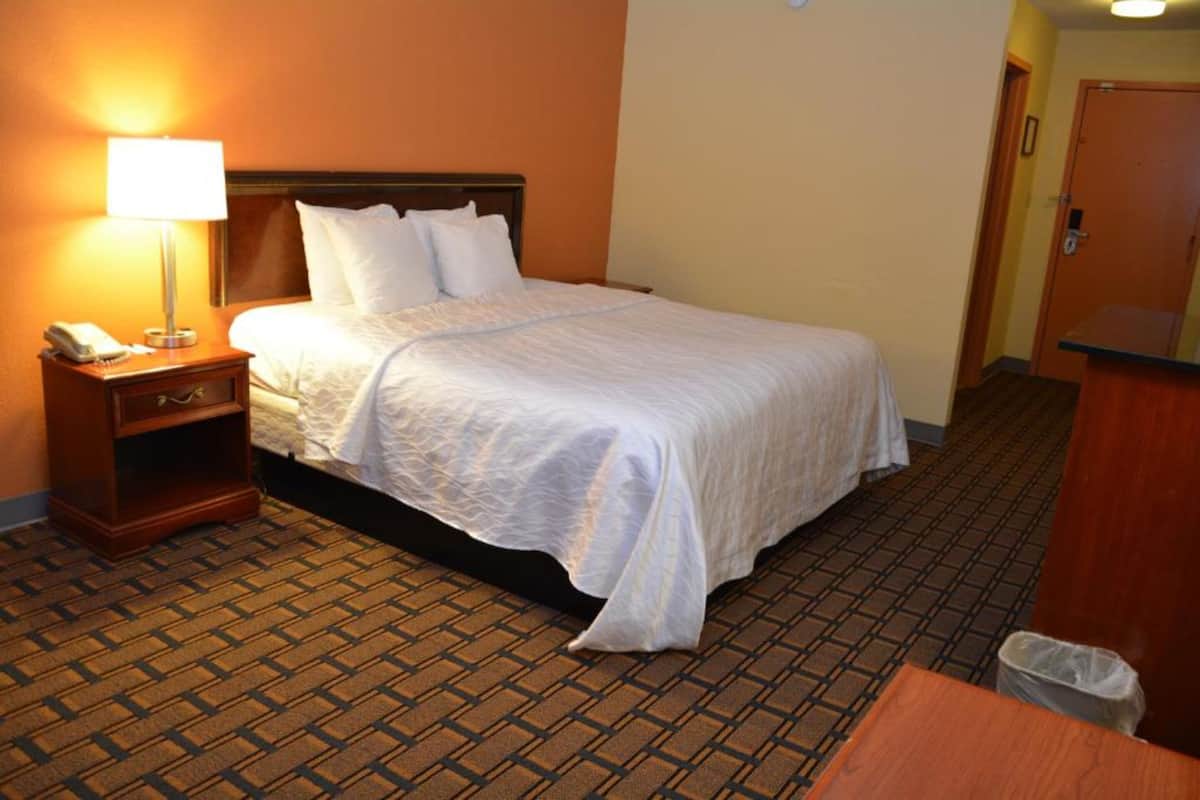 A hotel room with a bed, a nightstand with a lamp, a telephone, and a trash bin.