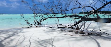 Liegestühle, Strandtücher