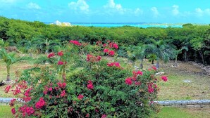 Un jardin luxuriant, parsemé de fleurs roses éclatantes, avec une vue sur l’océan.