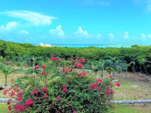 Property grounds - Perfect location for exploring The Exumas! Beautiful water views and comfort! (Great Exuma)