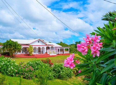 Sunny Palm Villas