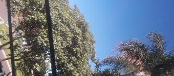 Vrbo Property