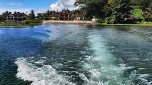 Un río de aguas claras, una casa con techo rojo y un árbol grande al fondo.