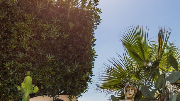 A gated entrance with a view of the sea, a cactus plant, and a wooden fence. - Blumarine house on the sea, parking and wi.fi (Avola)