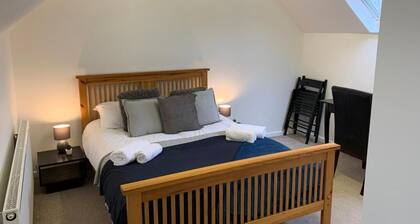 Wellfield blooms in the loft of Cardiff