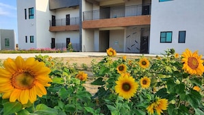 A modern building with multiple balconies and a garden with sunflowers.
