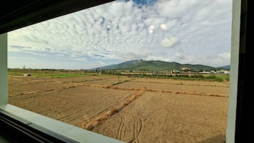 Doppelzimmer (B206) | Schreibtisch, schallisolierte Zimmer, kostenloses WLAN