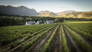 A vineyard with rows of grapevines and a building with multiple chimneys in the background. - La Cotte The Manor House (Franschhoek)