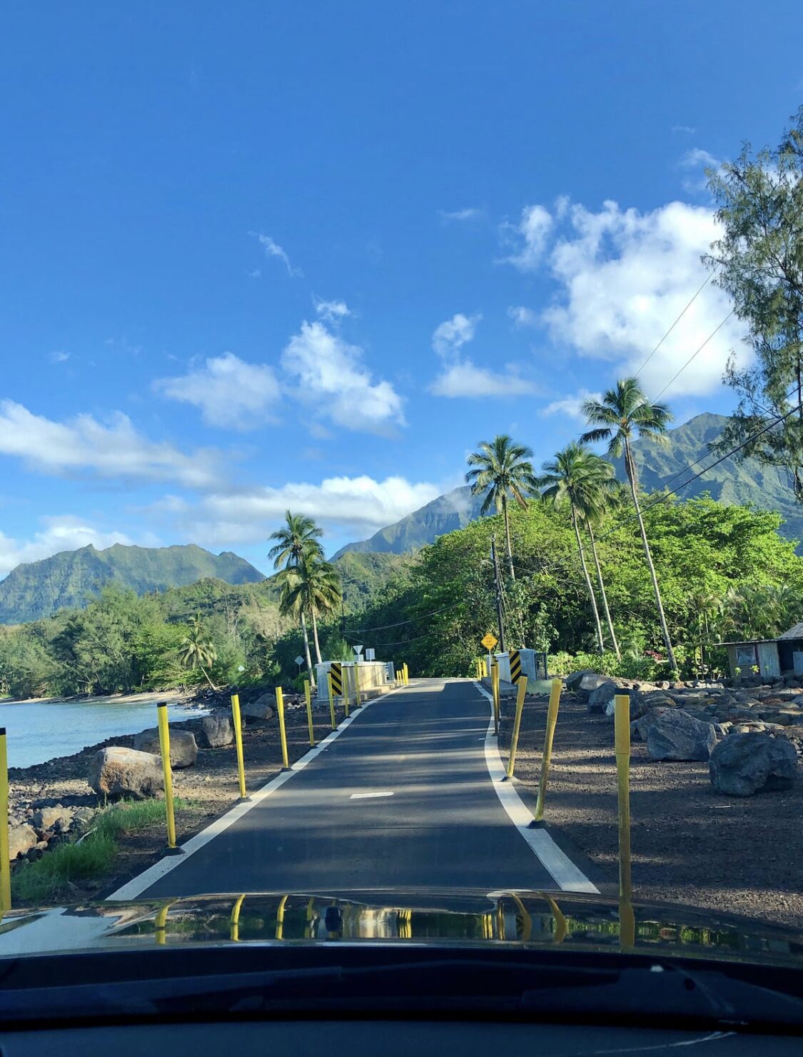 A paved road with yellow bollards, palm trees, and a mountainous backdrop.