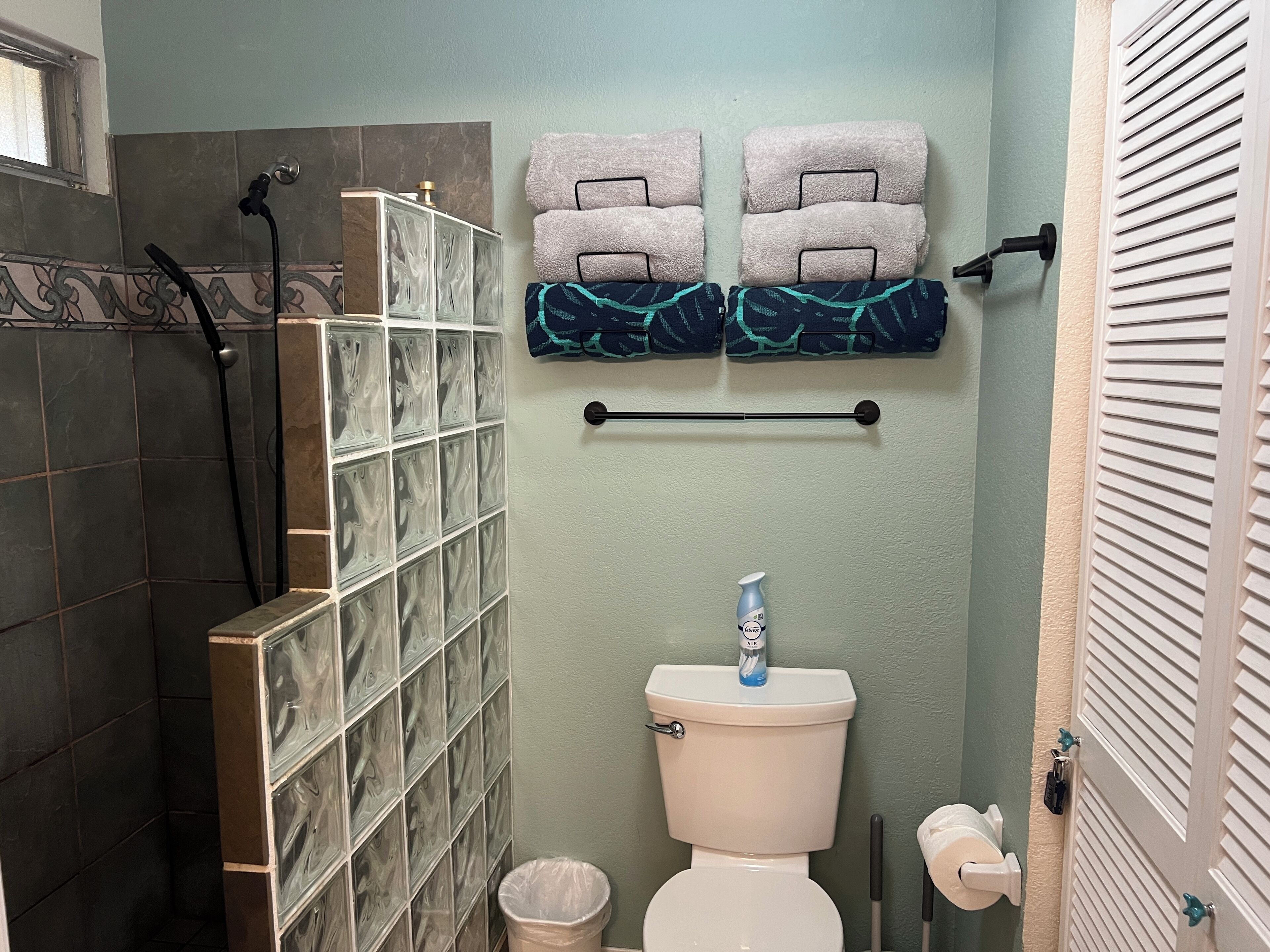 A bathroom with a shower, toilet, and towel rack.