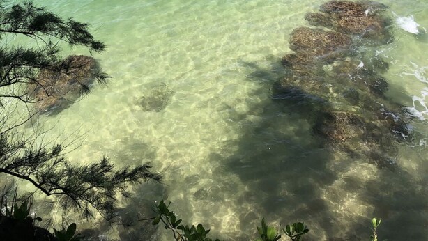 A clear view of a beach with calm waters and visible rocks beneath the surface. - Princeville Delight! COLD A/C, Sleeps 4, Pool & Jacuzzi, Private Lanai & Space (Princeville)